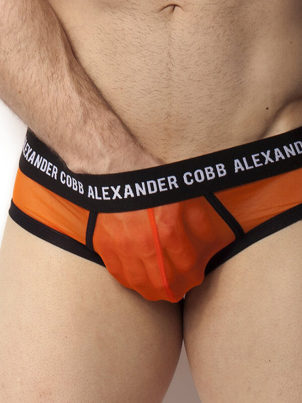 ALEXANDER COBB Transparent Slip orange