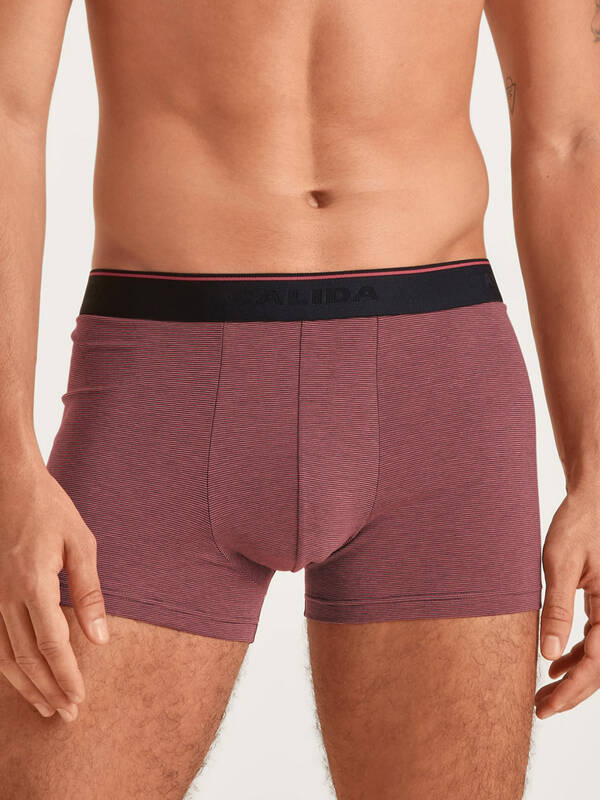 CALIDA Cotton Stretch BoxerBrief mineral-rot