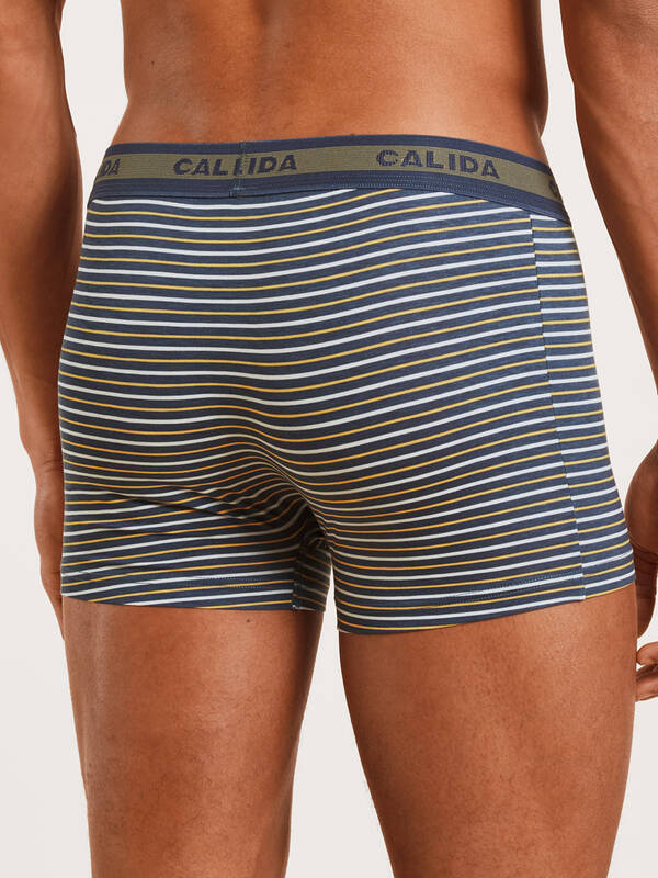 CALIDA 100% Nature Day BoxerBrief grisaille-grau